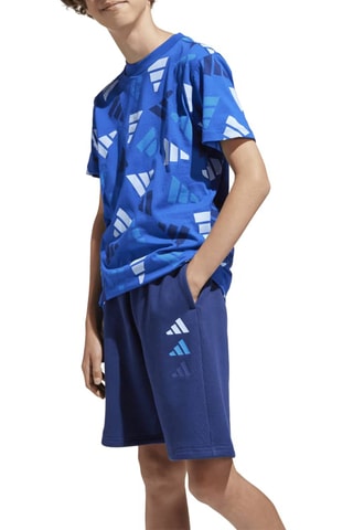 T-shirt regular Seasonals - Bleu