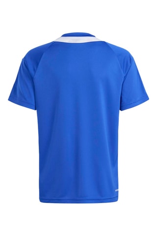 T-shirt regular Sereno - Bleu électrique