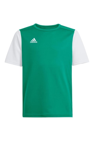 Maillot de football regular Estro 19 - Vert