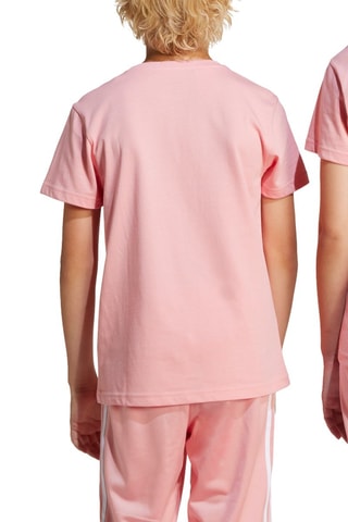 T-shirt Trèfle Adicolor - Rose - Adidas