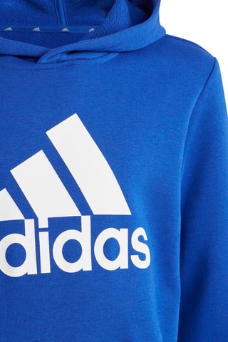 Sweat d’entraînement à capuche Essentials - Bleu roi
