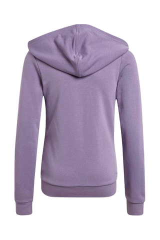 Sweat d'entraînement à capuche Essentials - Violet