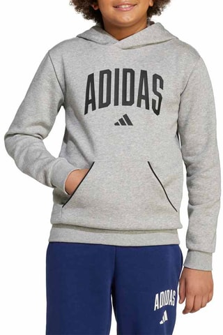 Sweat à capuche Seasonals - Gris chiné