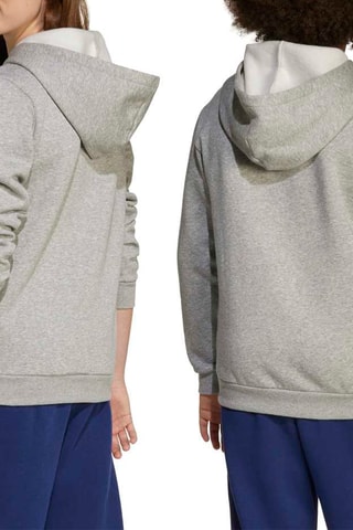 Sweat à capuche Seasonals - Gris chiné