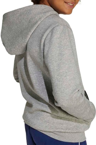 Sweat à capuche Seasonals - Gris chiné
