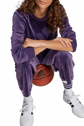 Sweat Seasonals - Violet