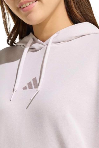 Sweat à capuche Seasonals - Gris clair