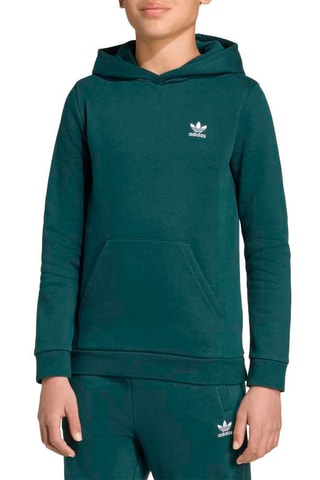 Sweat à capuche Classic Essentials - Vert