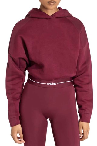 Sweat court d’entraînement polaire à capuche Essentials Plus - Marron