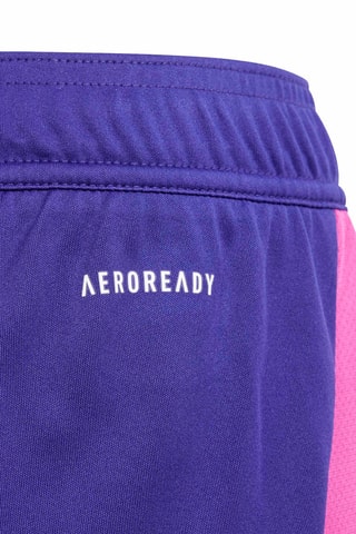 Short de football regular Deutscher Fußball-Bund - Violet