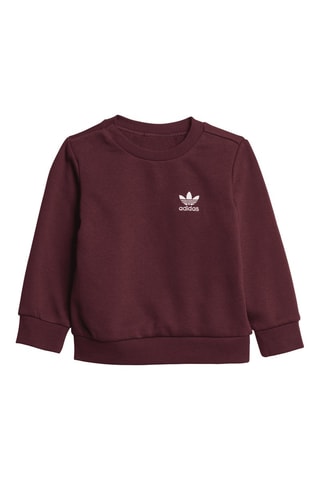 Sweat et pantalon Trefoil Essentials - Bordeaux