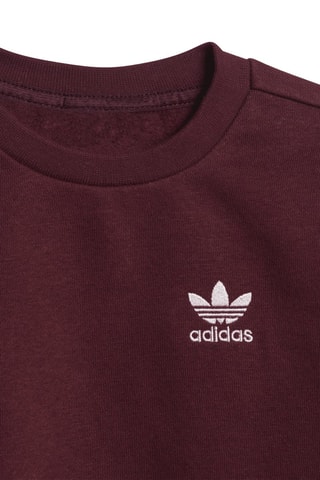 Sweat et pantalon Trefoil Essentials - Bordeaux