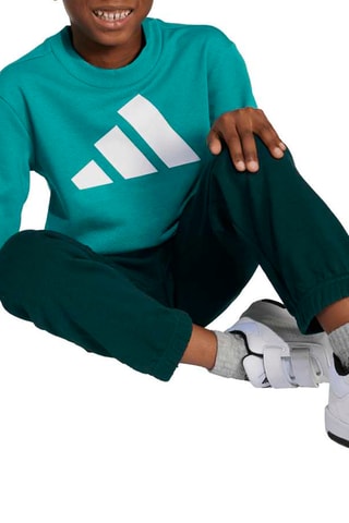 Sweat et pantalon regular Essentials - Vert