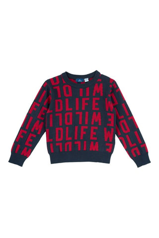 Pull - Gris foncé