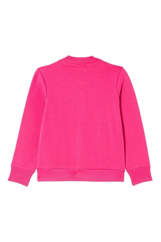 Sweat - Rose