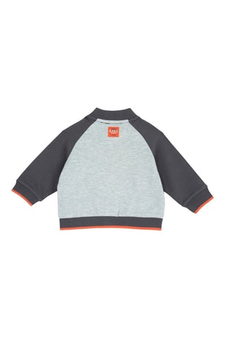 Teddy - Gris