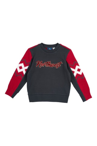 Sudadera - Rojo y gris oscuro