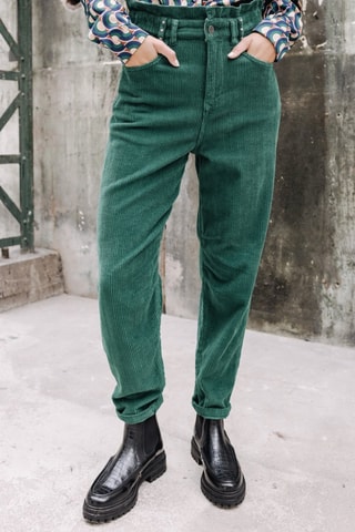 Broek Lara Veluto - Blauw - Groen