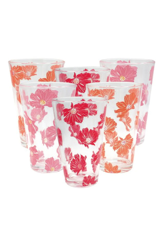 6 verres - 34 cl