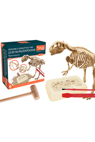 Kit paléontologue découverte du T-Rex - Dès 5 ans