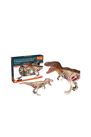Modèle de T-Rex  Dès 8 ans
