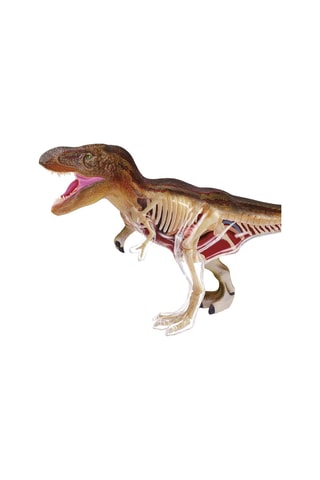 Modèle de T-Rex  Dès 8 ans