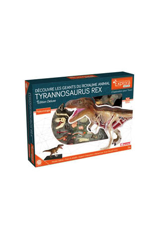 Modèle de T-Rex  Dès 8 ans