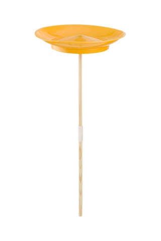 Assiette à tourner - 2 pièces - Dès 8 ans