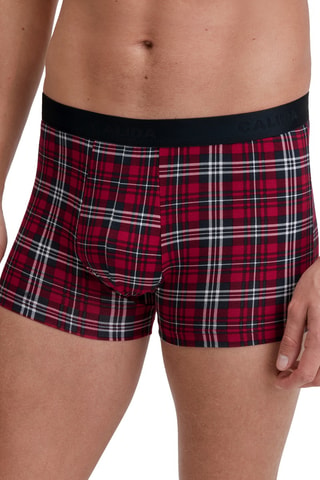 Boxer - Rood