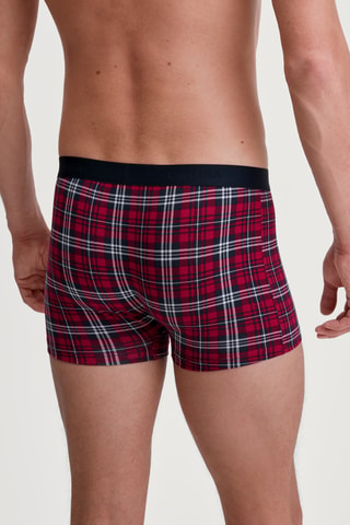 Boxer - Rood