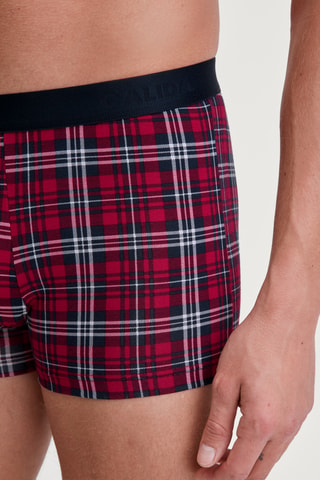 Boxer - Rood