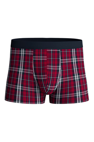 Boxer - Rood