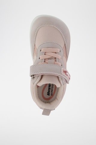 Baskets - Rose