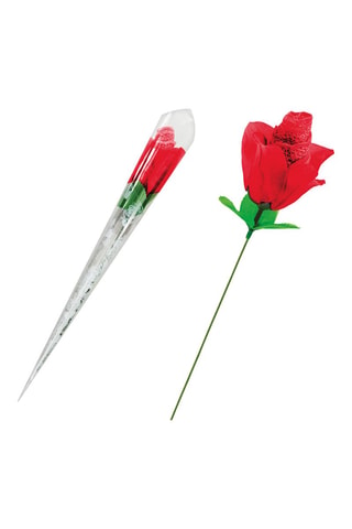 Slip Rosa - Rosso