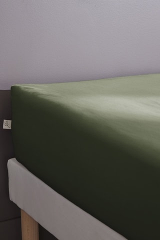 Sábana bajera de percal de algodón 80 hilos/cm² Bally - Verde