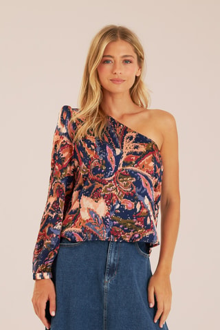 Asymmetrische top- koningsblauw en bruin