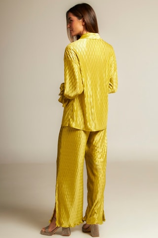 Blouse- Lichtgroen